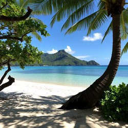 Россияне массово выбирают КНДР горные лыжи и поезда