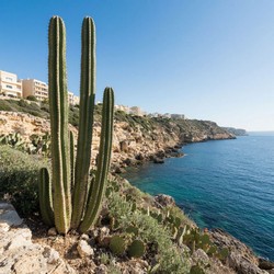 Ливни в Дубае сорвали планы российских туристов Ливни в Дубае сорвали планы российских туристов