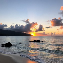 В Египте запускают плавающий автобус для туристов В Египте запускают плавающий автобус для туристов