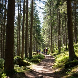 Влияние моря на повседневную жизнь и традиции народов