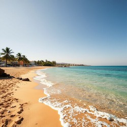 Как выбрать букет роз к ужину свадьбе и юбилею