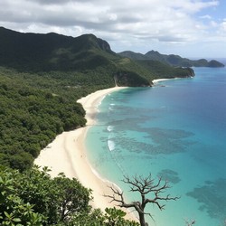 Правила поведения в ОАЭ в отпуске