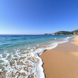 Нидерланды сегодня свежие новости и события