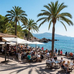 Отмена новогодних прямых рейсов Минск Дубай и туризм РФ